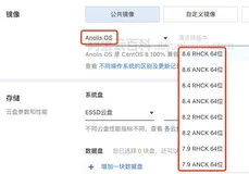阿里云服务器Anolis OS镜像龙蜥操作系统全解析