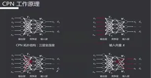 对偶传播神经网络| 学习笔记