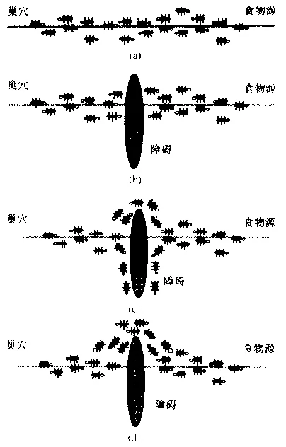 微信图片_20220423093737.png