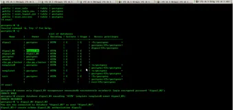 13PostgreSQL 表级复制-Londiste3 级联复制以及 provider 的切换|学习笔记