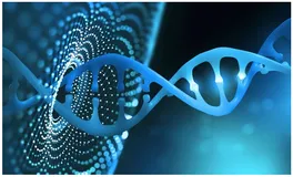 Drug Target Review | 人工智能(AI)在基因组学中的作用