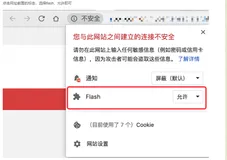 允许chrome浏览器运行flash