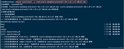 Linux 系统服务端oracle19c数据库全英文版安装教程