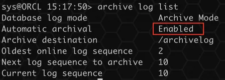 Oracle 开启归档模式