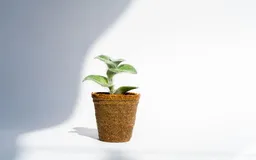 单元测试运行原理探究