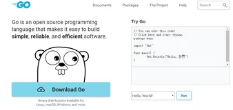 【Windows系统】基于vscode搭建go语言开发环境