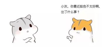 漫画：什么是布隆算法？