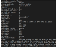 性能测试必备命令（3）- lscpu 