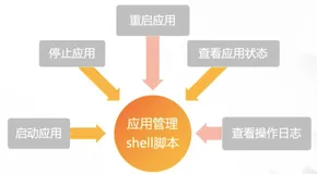 Shell复杂脚本实战|学习笔记