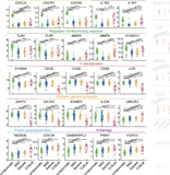 跟着Nat Commun学作图 | 1.批量箱线图+散点+差异分析