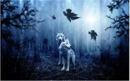 破解 Java Agent 探针黑科技!