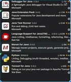 VsCode 运行Java Web 项目（Tomcat）