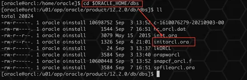 Oracle pfile 参数文件
