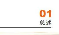 产品百科 |数字政府解决方案总述