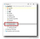 【字节码插桩】Android 签名机制 ( 生成 Android 签名文件 | 分析签名文件 | 签名文件两个密码的作用 | 三种签名方式 )（二）