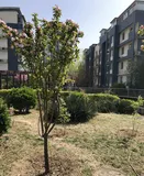 使用kubeadm从0到1搭建kubernete集群