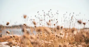 这是阿里技术专家对 SRE 和稳定性保障的理解