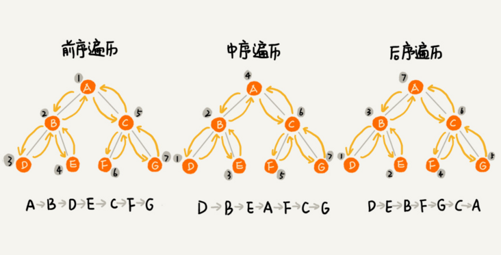 JavaScript 数据结构与算法之美 - 非线性表中的树、堆是干嘛用的 ？其数据结构是怎样的 ？（下）