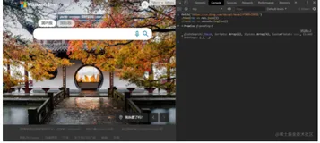 Chrome操作指南——入门篇（七）console中的await和log
