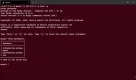 Docker中MySQL的安装与实践