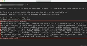 Ruby Programming | 连载 07 - Ruby 对象的原生行为