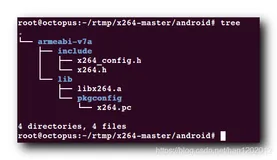 【Android RTMP】Android Studio 集成 x264 开源库 ( Ubuntu 交叉编译 | Android Studio 导入函数库 )（二）