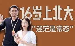 神秘的“阿里星”是一群怎么样的人