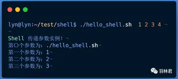 shell脚本的使用该熟练起来了，你说呢？（篇二）