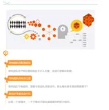 漫谈“架构团队”之组织架构（上）