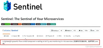 SpringCloud Alibaba Sentinel服务流控快速入门