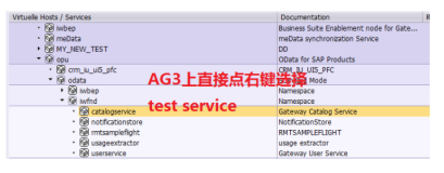 directly test Gateway frontend service in AG3 SICF