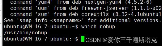 Command ‘nohub‘ not found, did you mean: command ‘nohup‘ from deb coreutils (8.32-4.1ubuntu1)