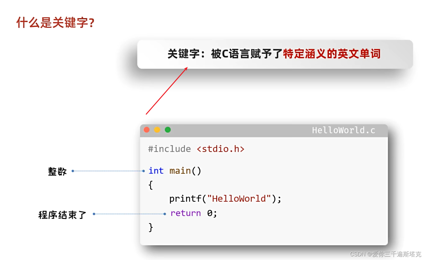 C语言09---关键字