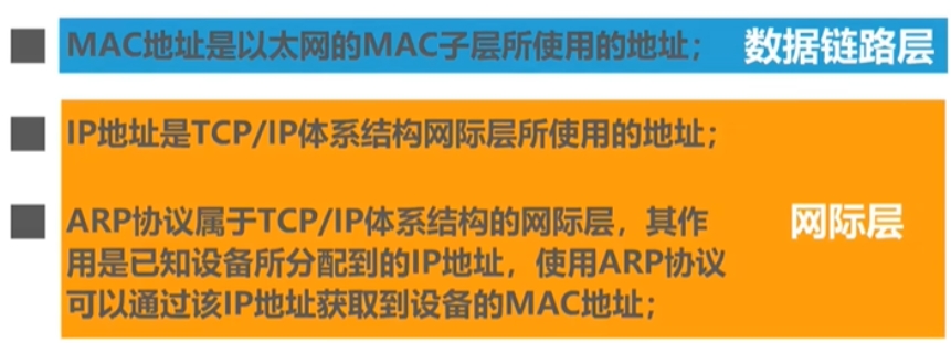 【计算机网络】第三章 数据链路层（MAC地址 IP地址 ARP协议）