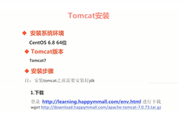 Tomcat - 安装 & 配置（Linux）