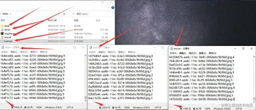 动手撸个自己的数据集进行训练Pytorch框架（索引式）