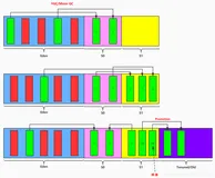 JVM05_堆的概述、内存结构、复制算法、Minor|Major|Full GC、私有区域TLAB、对象分配、参数总结、逃逸分析、栈上分配、锁消除、标量替换（二）