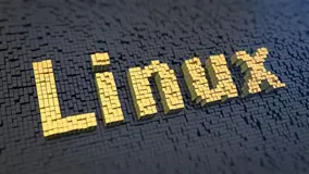 2020 年全球开源领域猜想：Linux 称霸世界，Docker 还能翻身，国产开源项目势不可挡