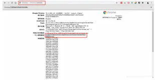 Python+selenium 自动化-启用带插件的chrome浏览器，调用浏览器带插件，浏览器加载配置信息。