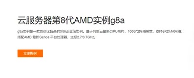 阿里云服务器通用型g8a实例最新收费标准与性能介绍