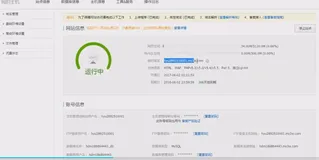 虚拟主机临时域名的使用 | 学习笔记