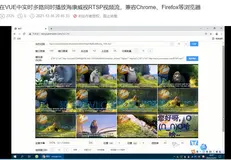 如何在VUE中播放海康威视RTSP/RTMP/ISC平台/NVR视频流？延迟低于300毫秒？