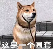 举一隅而以三隅反，MMFewshot 带你走近少样本分类