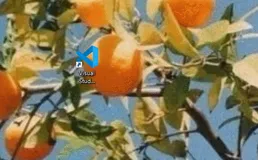 HTML5新特性drag API 实现拖放功能（上）