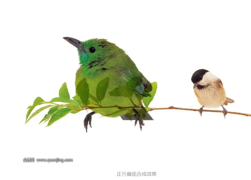 image.png