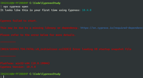 创建第一个 Cypress 应用后使用命令行 npx Cypress open 报错的原因分析