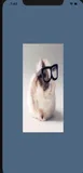 OpenGL ES 入门：GLKit加载图片