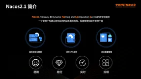 Nacos 2.1.0发布，支持特性定制插件