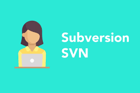 Subversion Revision Keywords（SVN 修订版本关键字）