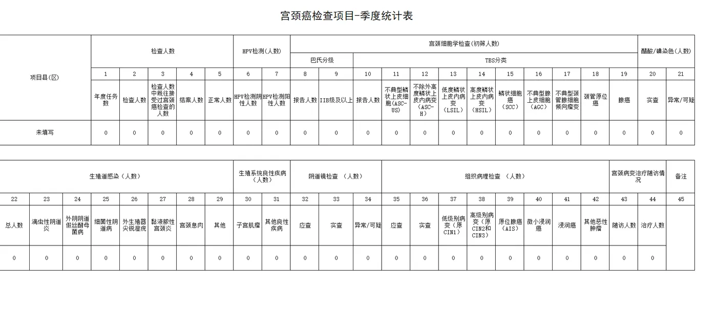 检查项目统计表.png